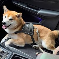 山谷汽車安全帶插扣緩沖繩(兩色)